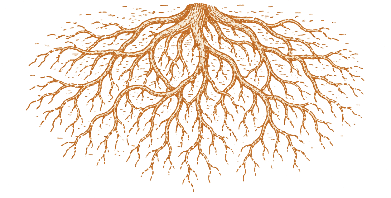 Systems